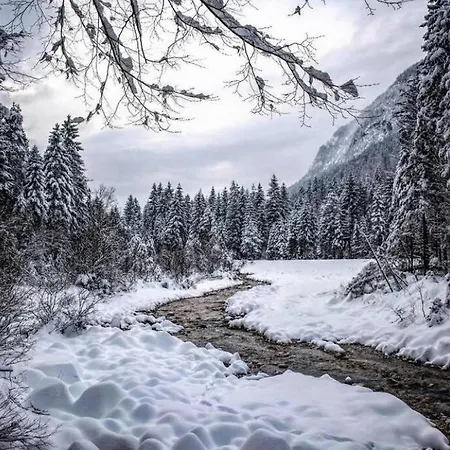 Hisa Borov Gaj Mojstrana