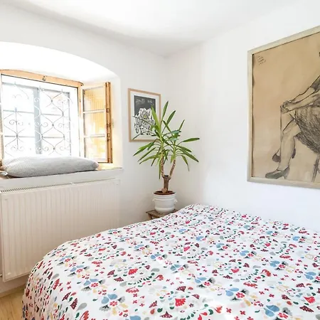 Hisa Borov Gaj * מויסטראנה