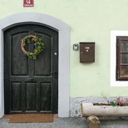 Apartment Hisa Borov Gaj Mojstrana