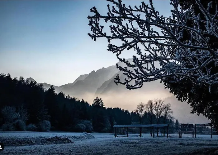 דירה Hisa Borov Gaj