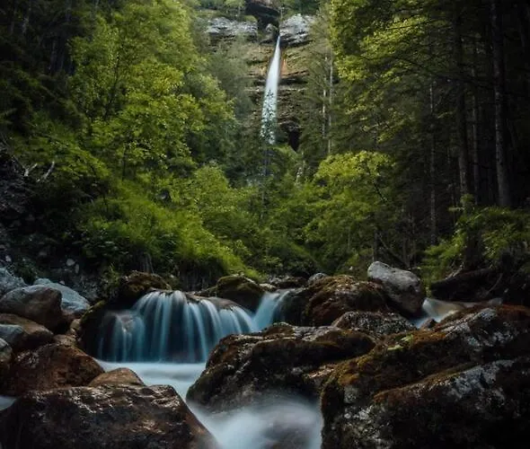 Hisa Borov Gaj דירה