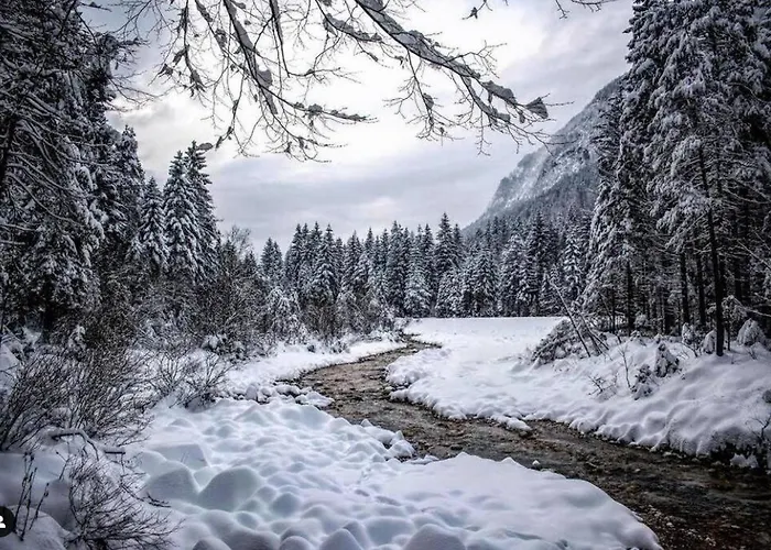 Hisa Borov Gaj מויסטראנה