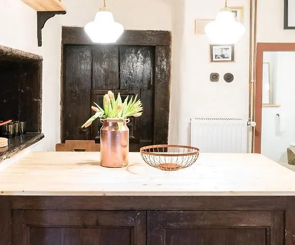 Hisa Borov Gaj דירה מויסטראנה