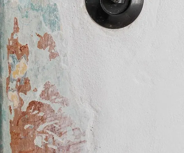 Hisa Borov Gaj * מויסטראנה