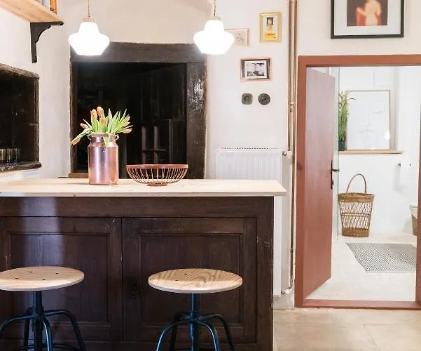 Hisa Borov Gaj דירה מויסטראנה