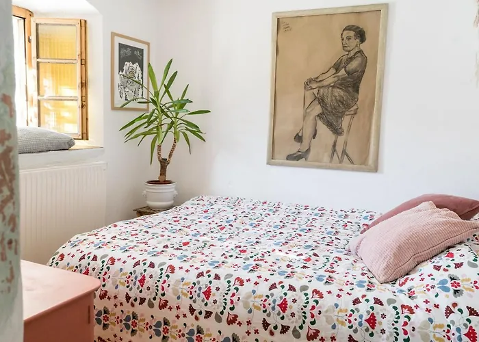 Hisa Borov Gaj * מויסטראנה