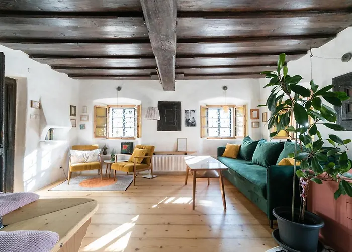 Hisa Borov Gaj * מויסטראנה