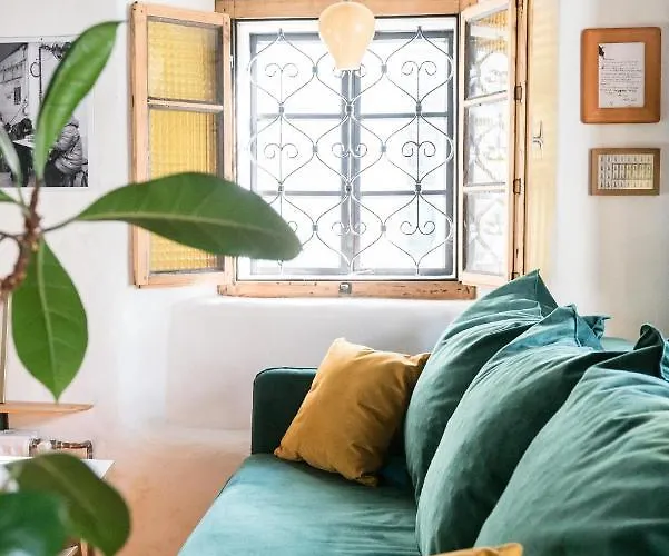 Hisa Borov Gaj * מויסטראנה