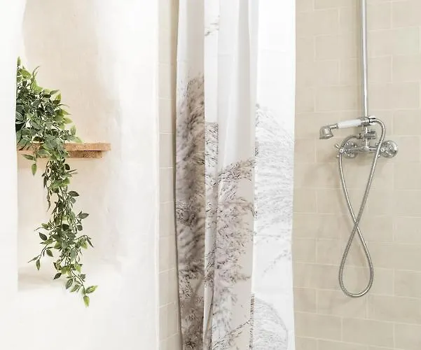 Hisa Borov Gaj * מויסטראנה