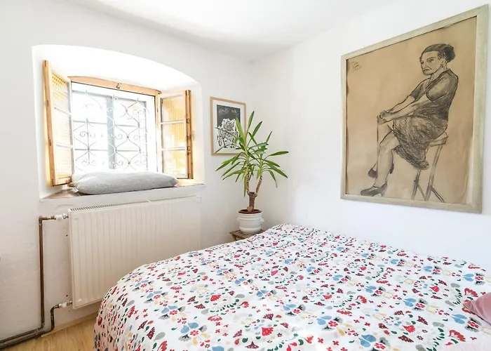 Hisa Borov Gaj * מויסטראנה