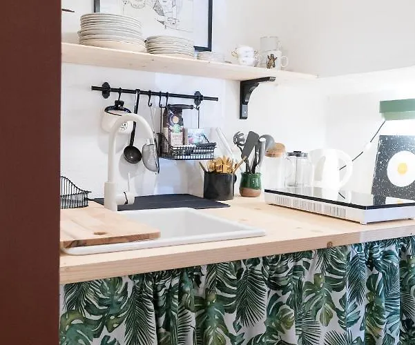 Hisa Borov Gaj * מויסטראנה